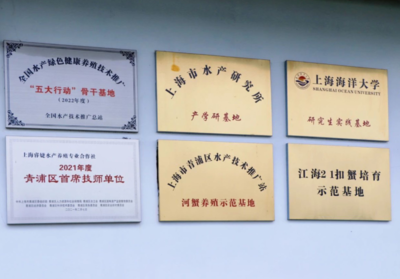 青浦區(qū)水產(chǎn)站積極推進(jìn)全國水產(chǎn)綠色健康養(yǎng)殖技術(shù)推廣“五大行動”骨干基地認(rèn)定工作